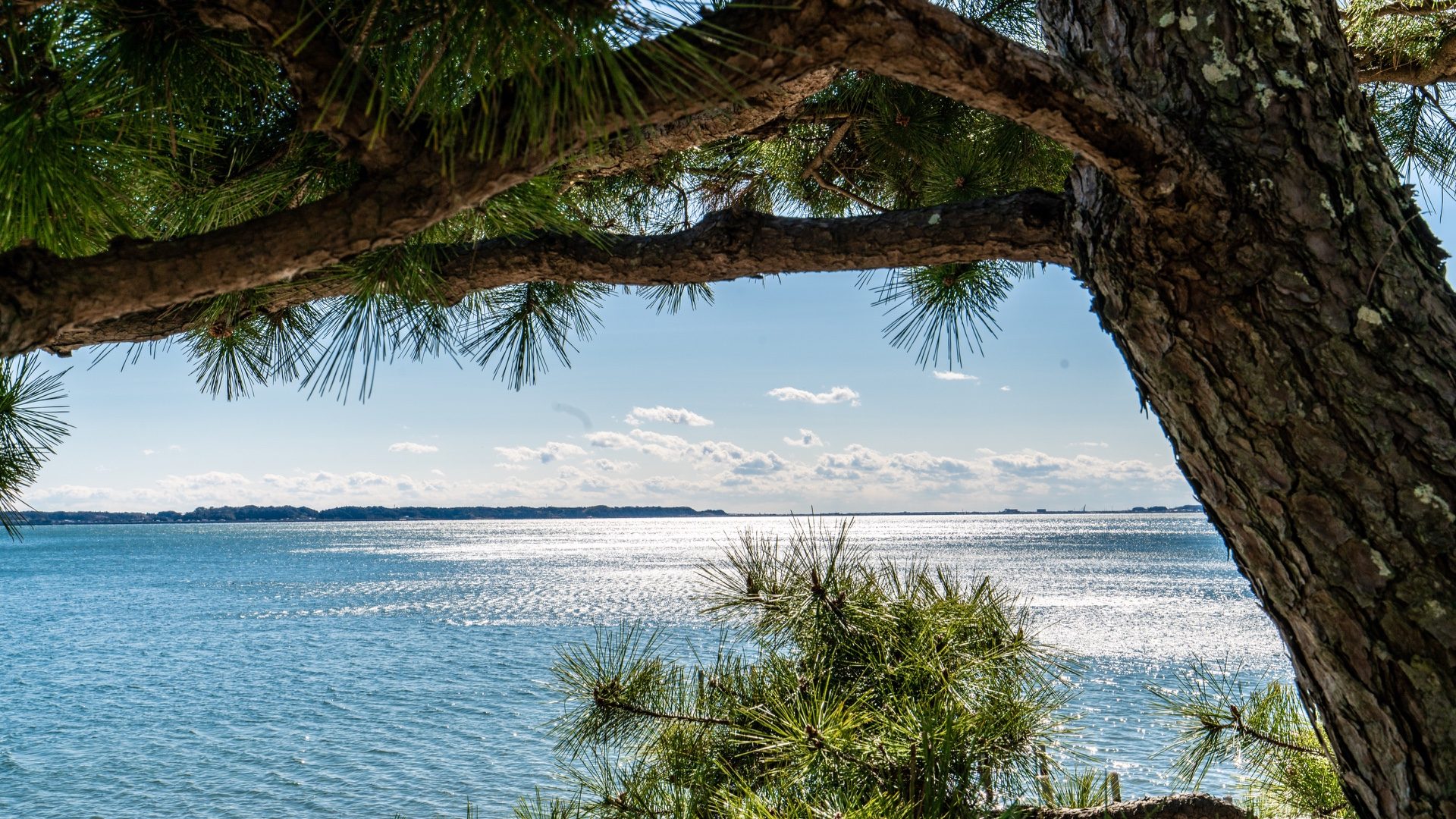 松越しに望む浜名湖の風景